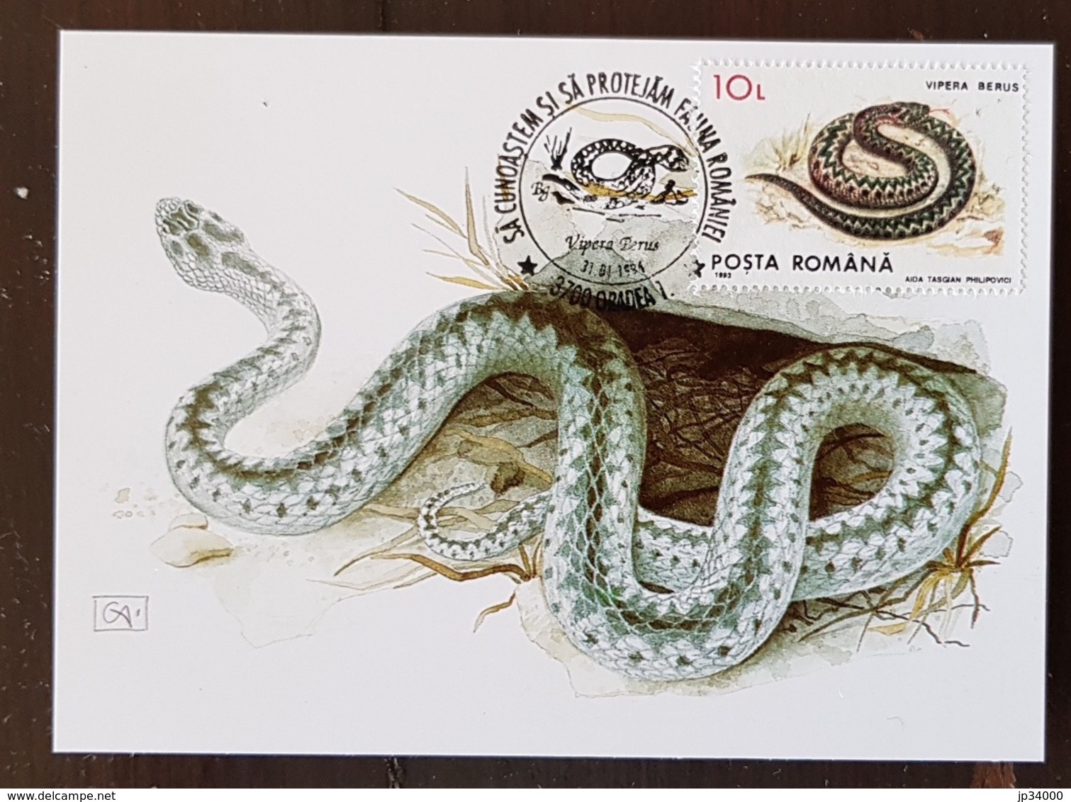 ROUMANIE Reptiles, Reptile, Serpents Serpent. Yvert N° 4088 Carte Maximum, FDC, Premier Jour - Serpents