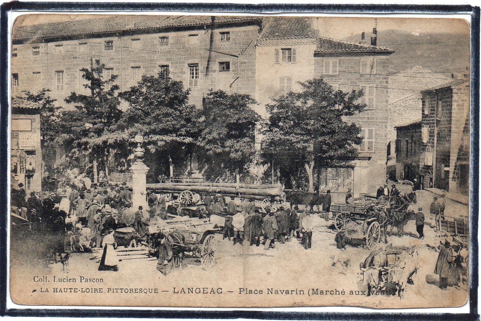 LANGEAC - PLACE NAVARIN ( MARCHE AUX VEAUX  ) - BEAU PLAN - Langeac