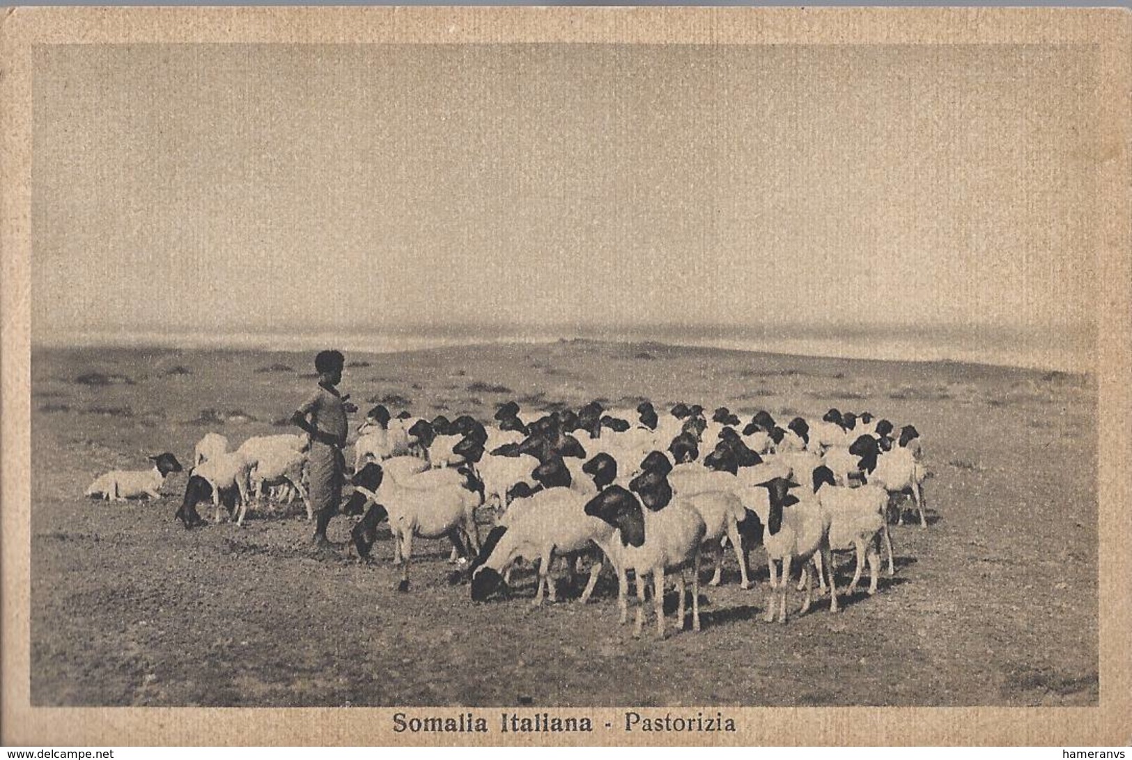 Somalia Italiana - Pastorizia - HP1432 - Somalia