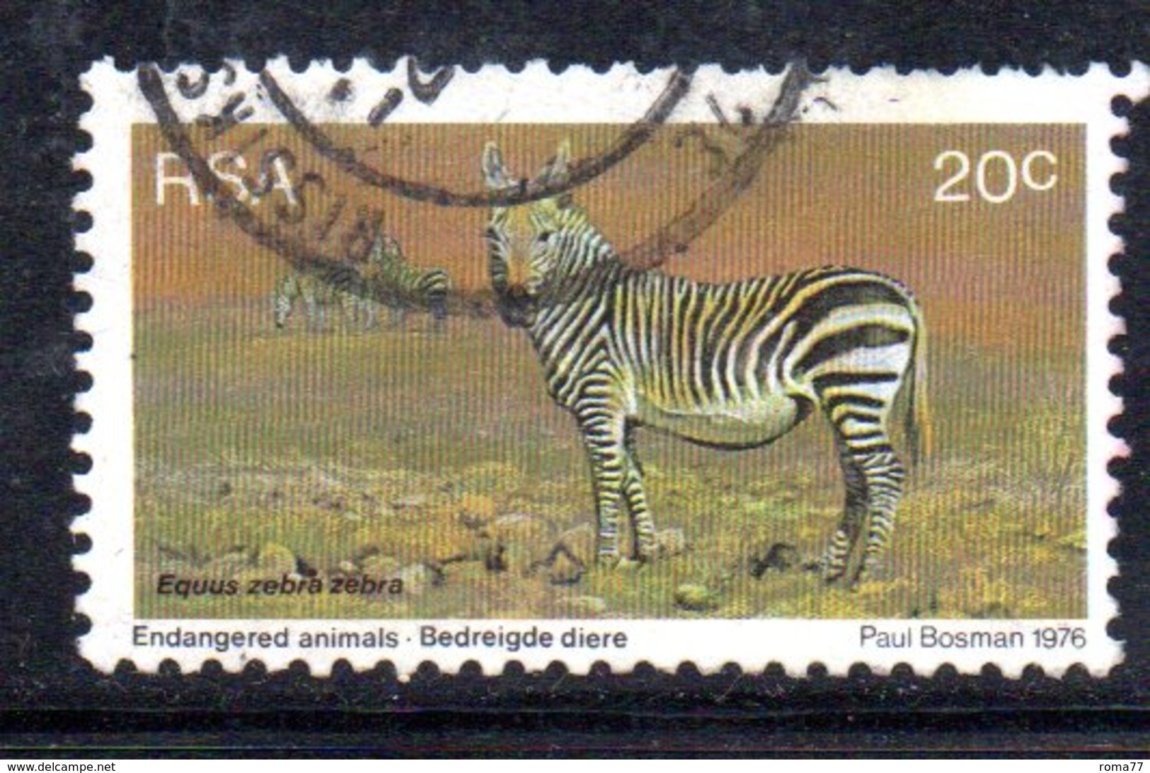 T2065 - SUD AFRICA SOUTH 1976, Yvert N. 408 Usato  Zebra - Usati