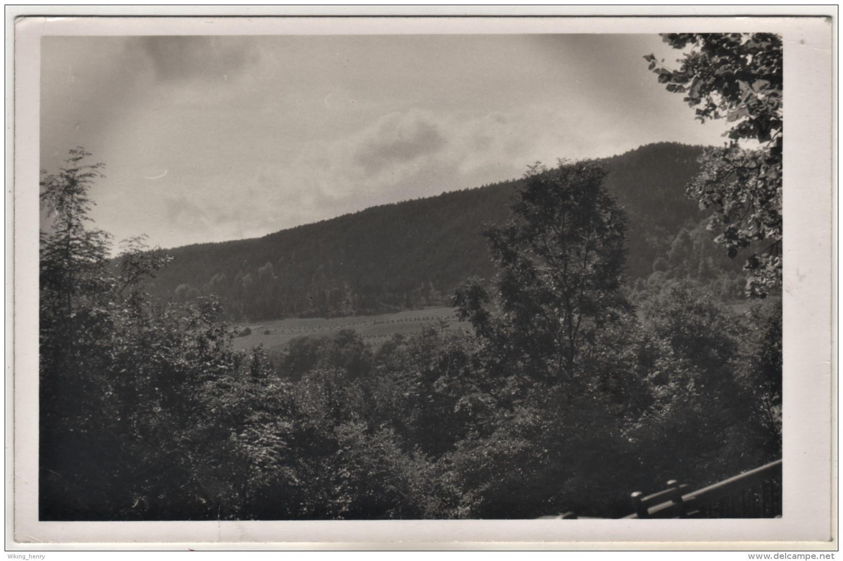 Arnstadt - S/w Blick Von Der Eremitage Plauescher Grund - Arnstadt