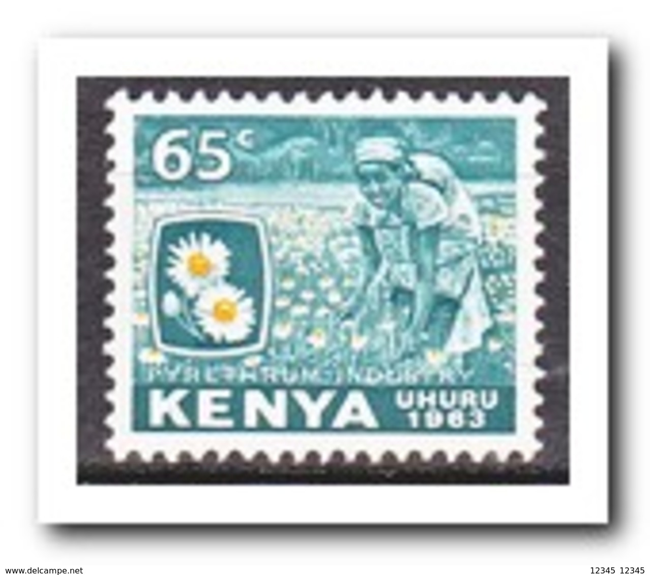 Kenia 1963, Postfris MNH, Flowers - Kenia (1963-...)