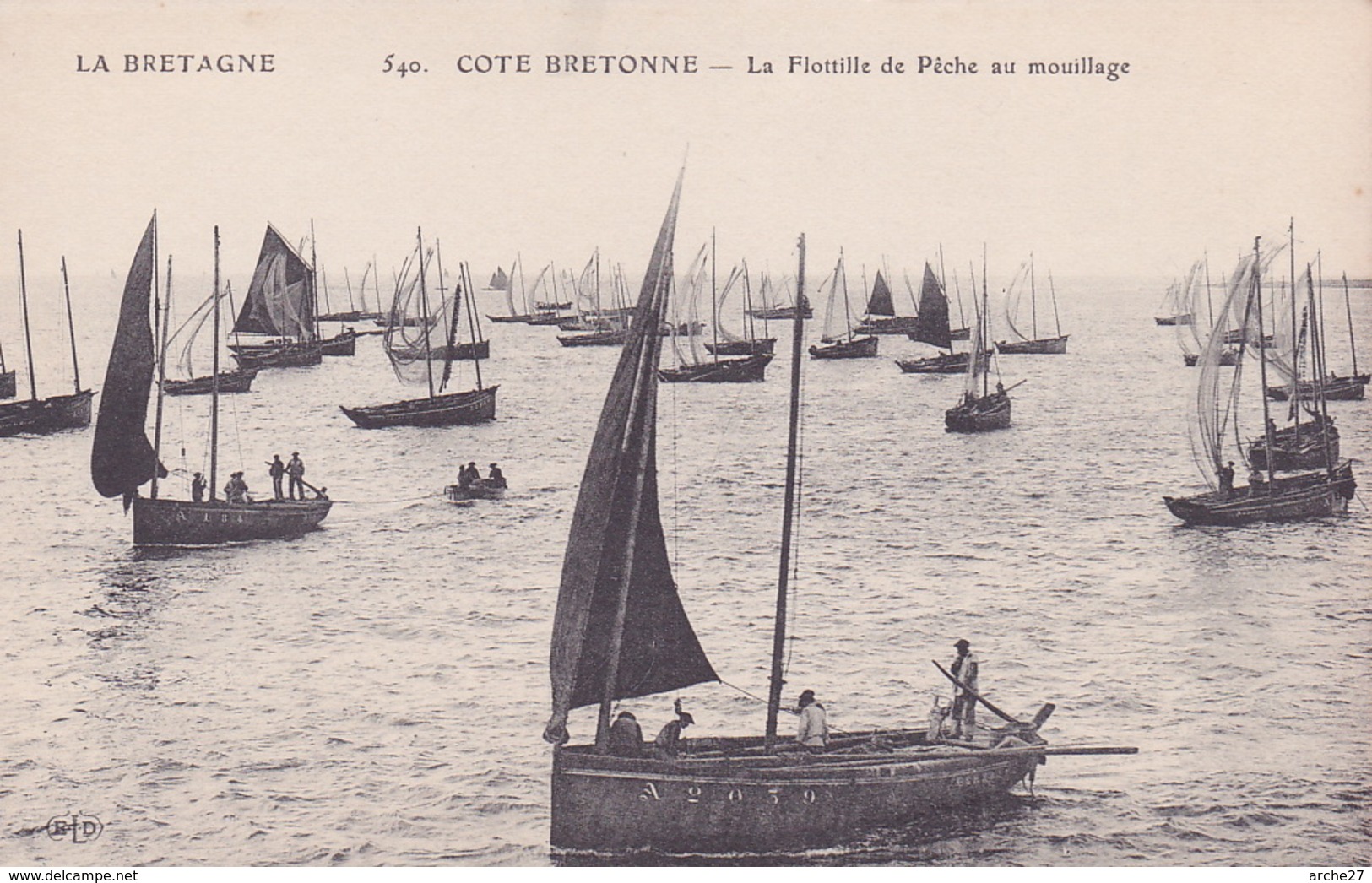 CPA - 29 - CONCARNEAU - La Flottille De Pêche Au Mouillage - 540 - Concarneau
