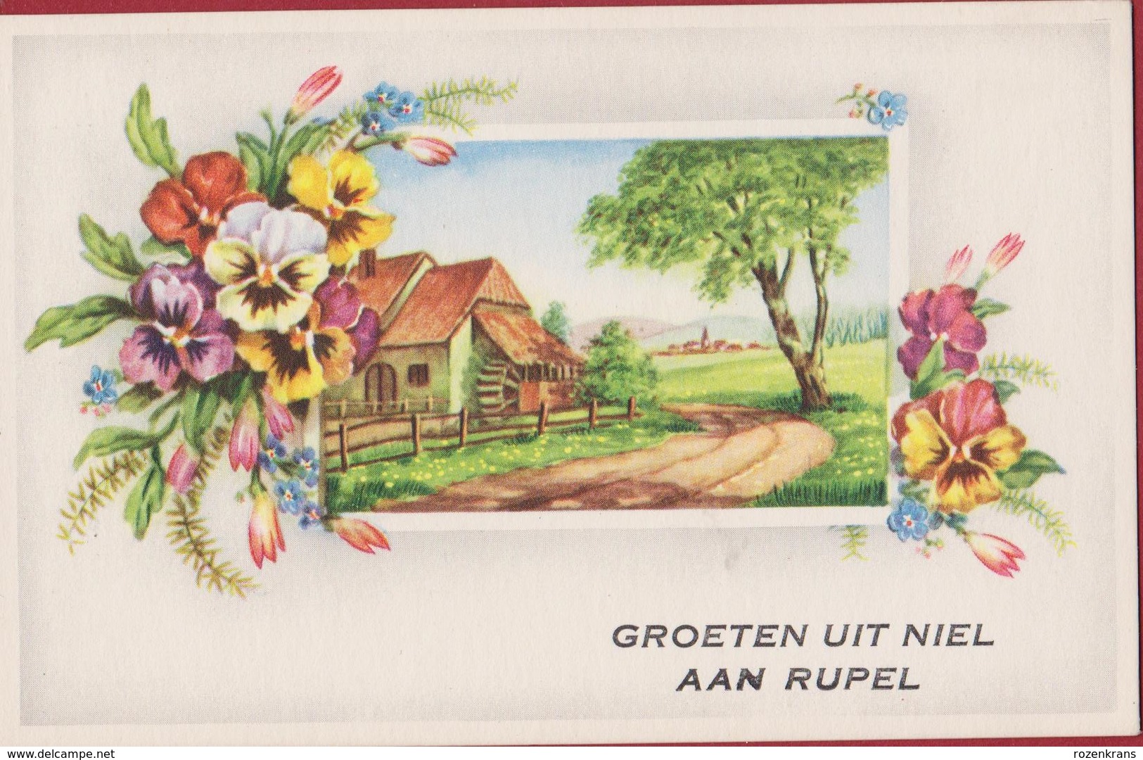 Groeten Uit NIEL Aan Rupel Molen Bloem Viooltje - Niel