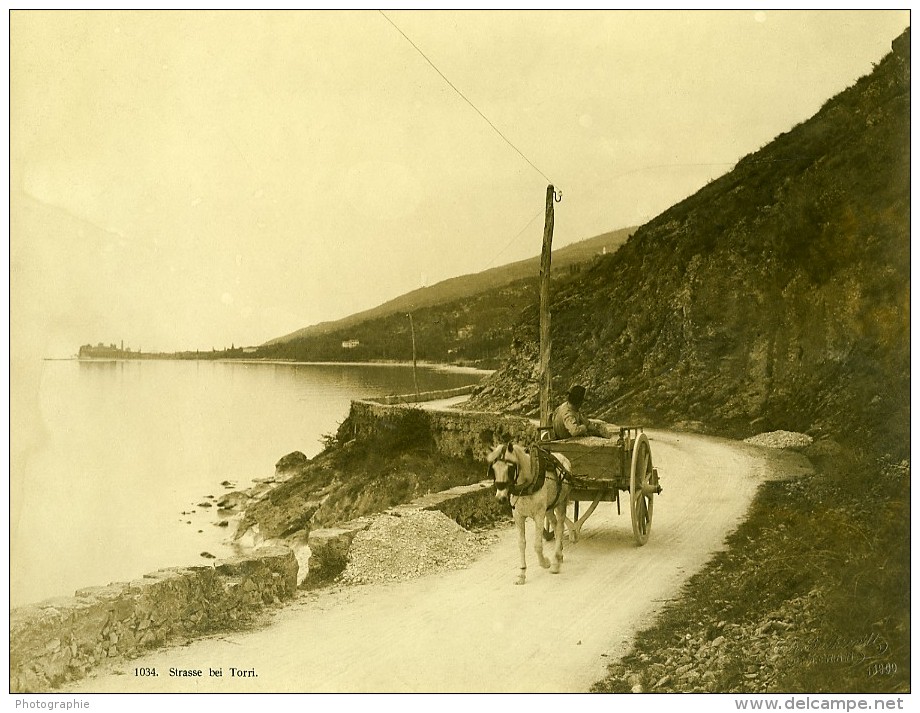 Italie Lac De Garde? Route De Torri Cheval Chariot Ancienne Photo 1900 - Antiche (ante 1900)