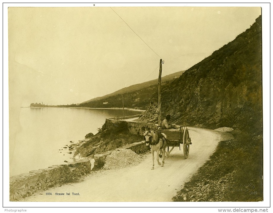 Italie Lac De Garde? Route De Torri Cheval Chariot Ancienne Photo 1900 - Antiche (ante 1900)