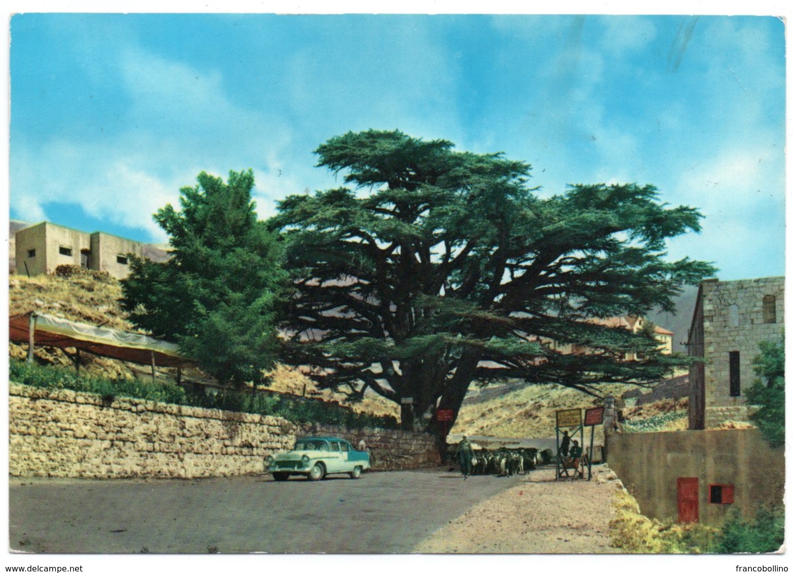 LIBAN/LEBANON - LES CEDRES / THE CEDARS / OLD CAR / THEMATIC STAMP-BUTTERFLY - Libano