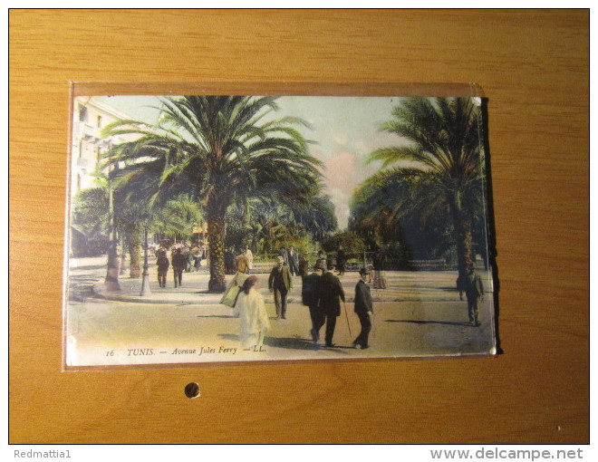 CARTOLINA TUNIS   AVENUE JULES  FERRY   - D 2894 - Tunisie