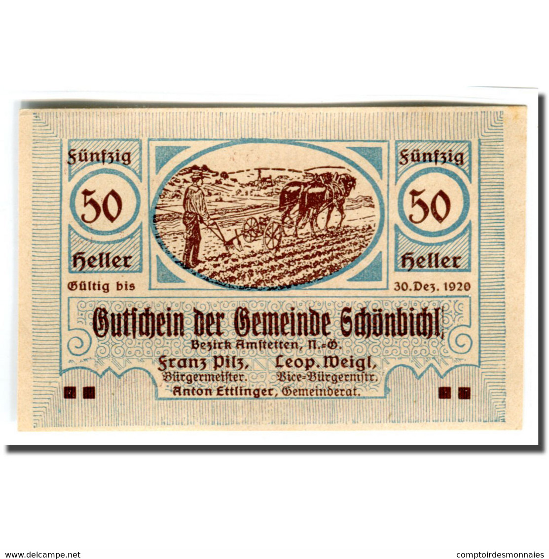 Billet, Autriche, Schonbichl, 50 Heller, Texte 1, 1920, 1920-03-21, SPL - Autriche