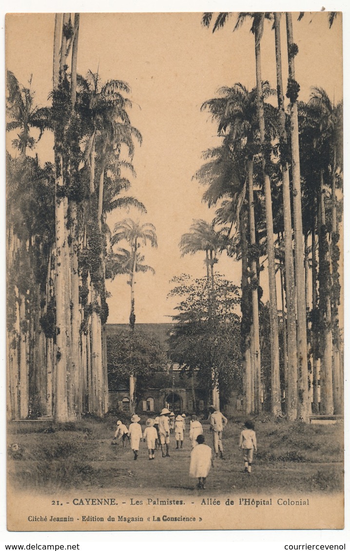 CPA - CAYENNE - Les Palmistes - Allée De L'Hopital Colonial - Cayenne