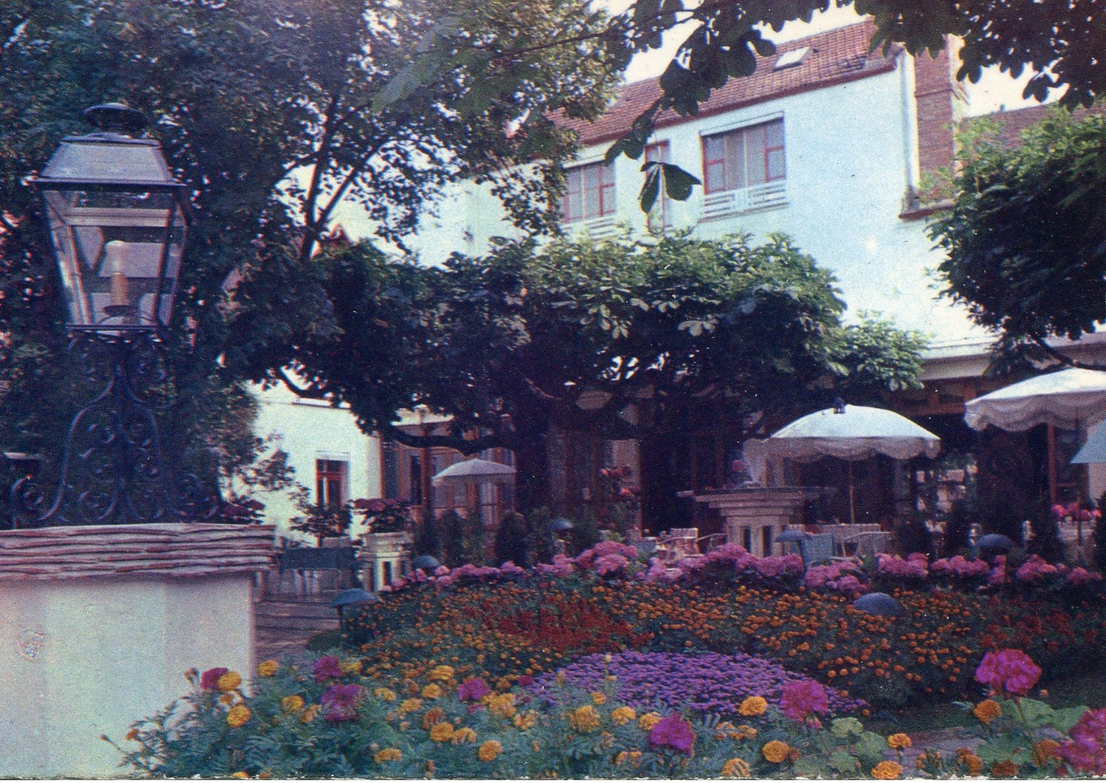 77 - BARBIZON - "Les Pléiades", Cadre Charmant. Tout 1er Ordre. La Terrasse Fleurie - Barbizon