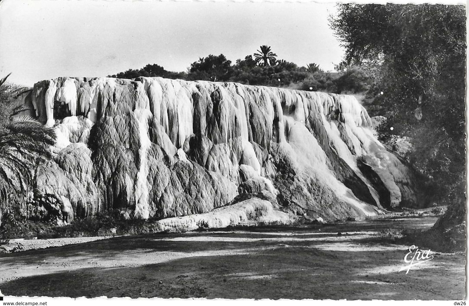 Environs De Guelma, Hammam-Meskoutine - Cascade D'eau Chaude - Editions Photo-Africaines - Carte E.P.A. N° 5 Bis - Constantine