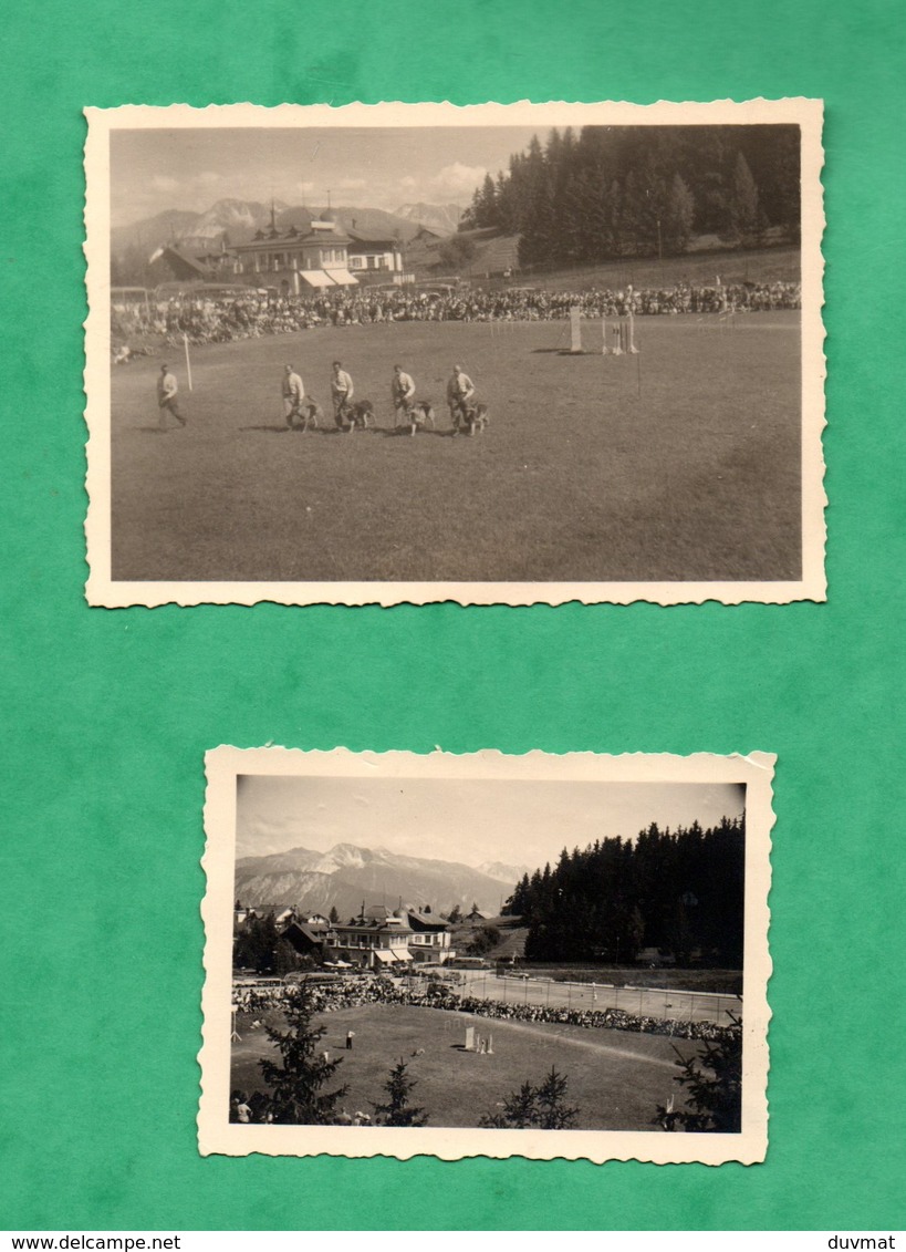 Suisse Crans Montana  Lot De 2 Petites Photos Dressage De Chiens Loups Aout 1954 Format 6cm X 9cm Et 5cm X 6,7cm - Luoghi