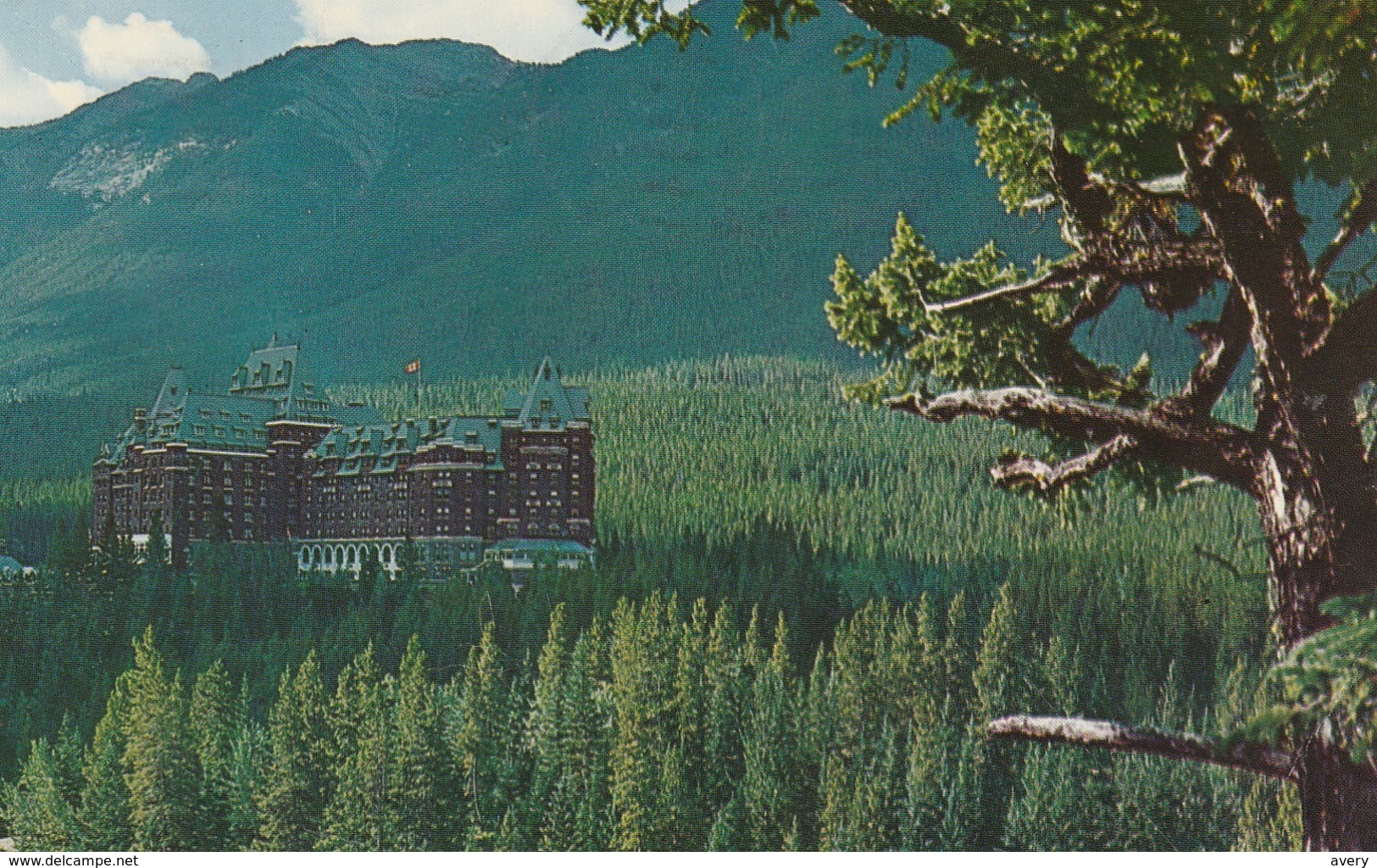 Banff Springs Hotel Surrounded By Fir And Pine Trees On The Side Of Sulphur Mountain, Banff, Alberta - Banff