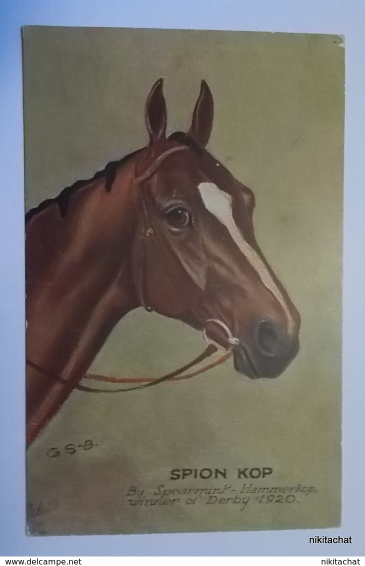 SPION KOP,by Spearmint-Hammerkop-Winner Of Derby 1920 - Paardensport