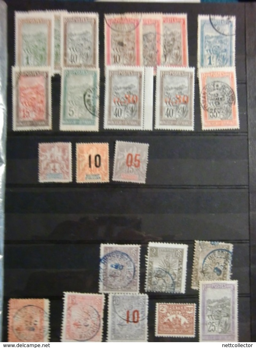 CARTON CONTENANT UN ENSEMBLE DE + 1800 TIMBRES DES COLONIES FRANCAISES / A DECOUVRIR!!!