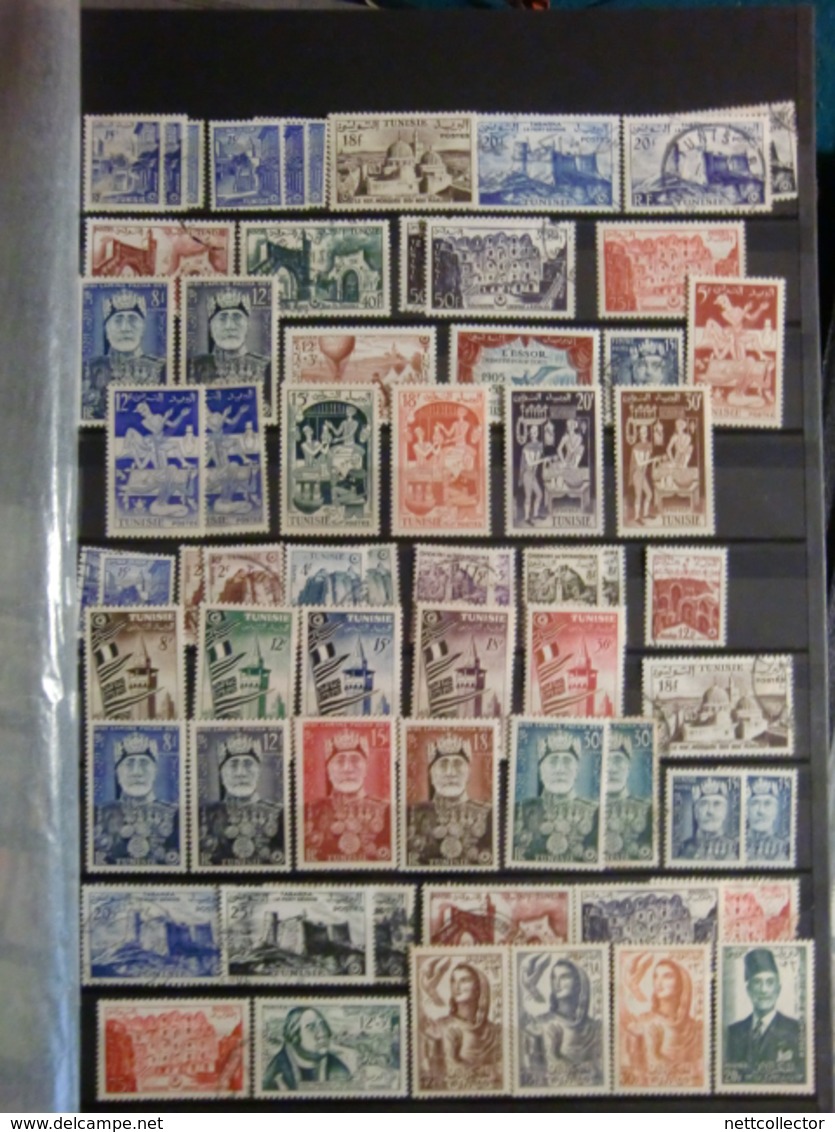 CARTON CONTENANT UN ENSEMBLE DE + 1800 TIMBRES DES COLONIES FRANCAISES / A DECOUVRIR!!!