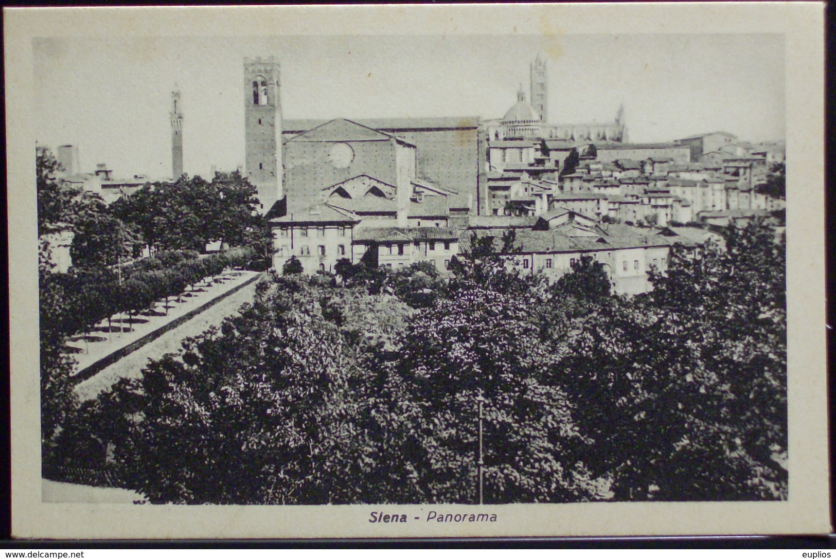 SIENA Panorama - Formato Piccolo - Non Viaggiata - Siena