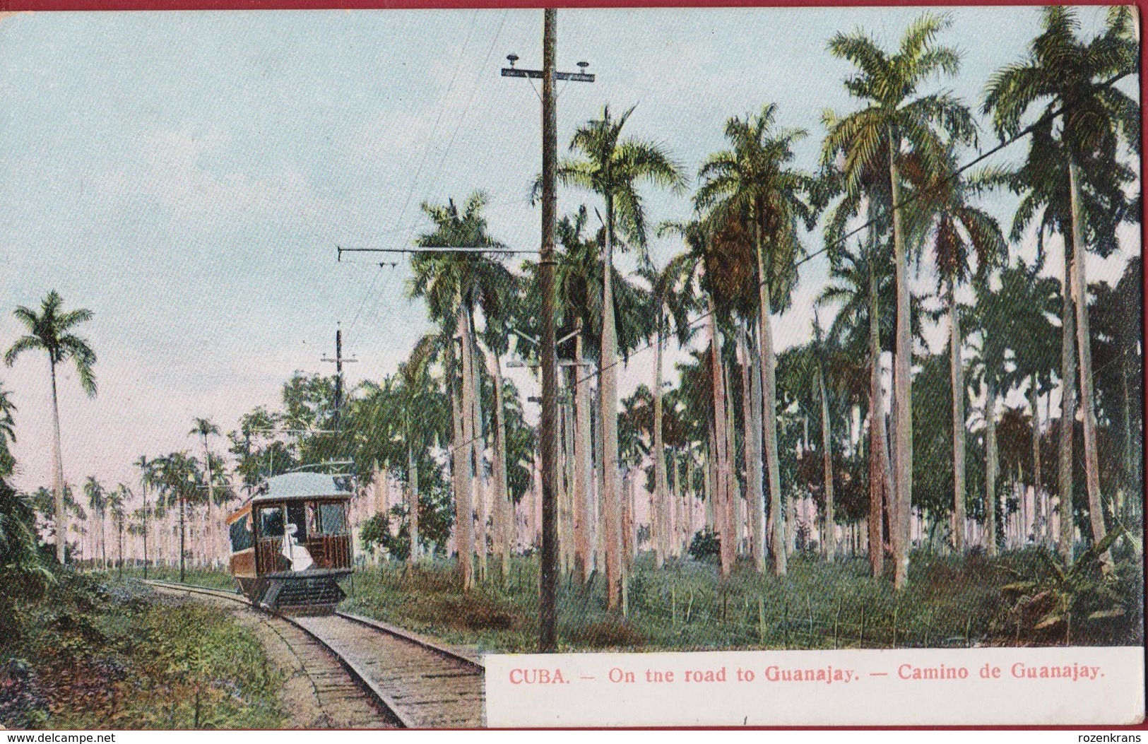 Rare Old Postcard Tarjeta Postal Cuba Camino De Guanajay Train Tren Ferrocarril Artemisa Forest Colonial Period - Cuba