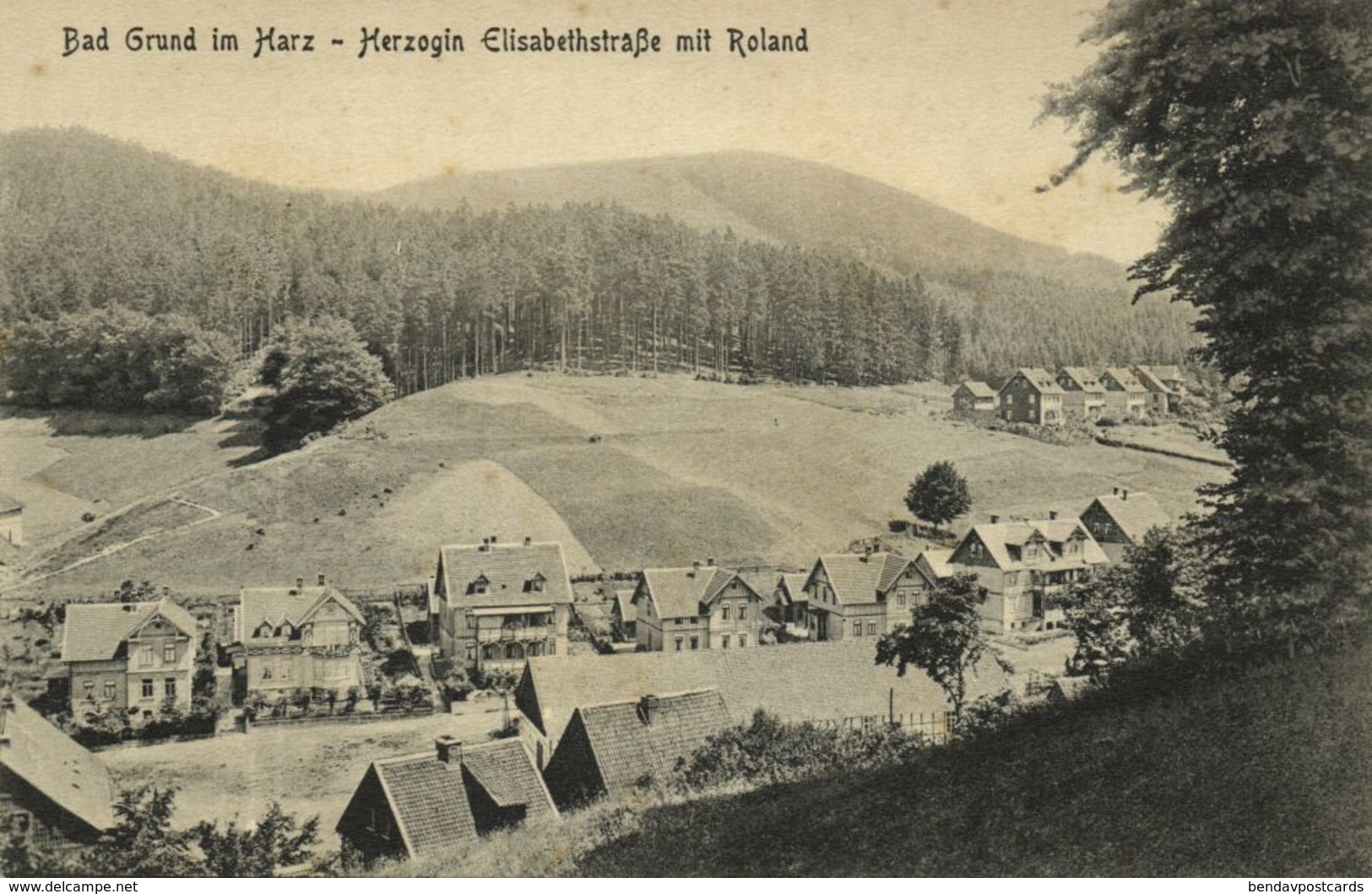 BAD GRUND Im Harz, Herzogin Elisabethstrasse Mit Roland (1910s) AK - Bad Grund