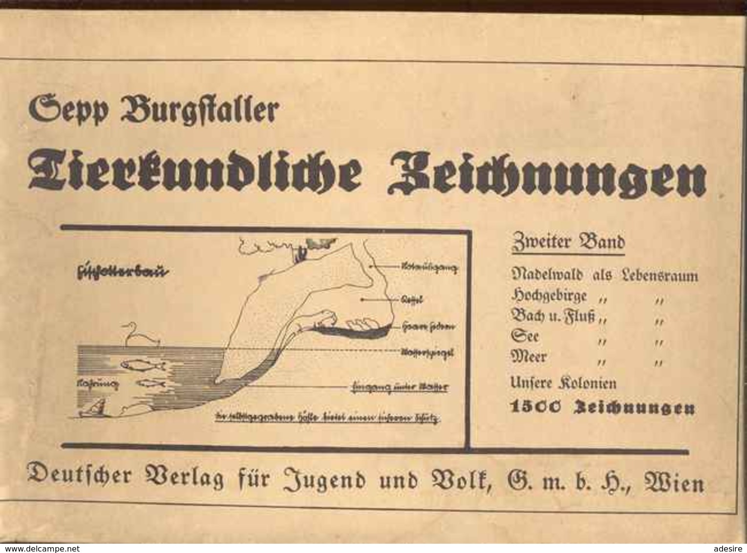 TIERKUNDLICHE ZEICHNUNGEN Von Sepp Burgstaller, Ausgabe 1941 - Animaux