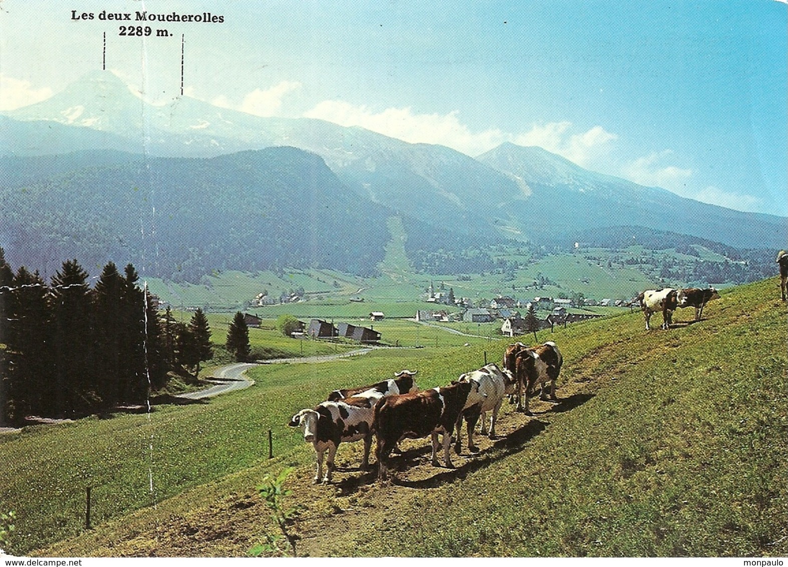 38. CPM. Isère. Corrençon. Entrée Du Parc Régional Du Vercors. Les Deux Moucherolles (animée, Troupeau De Vaches) - Autres & Non Classés