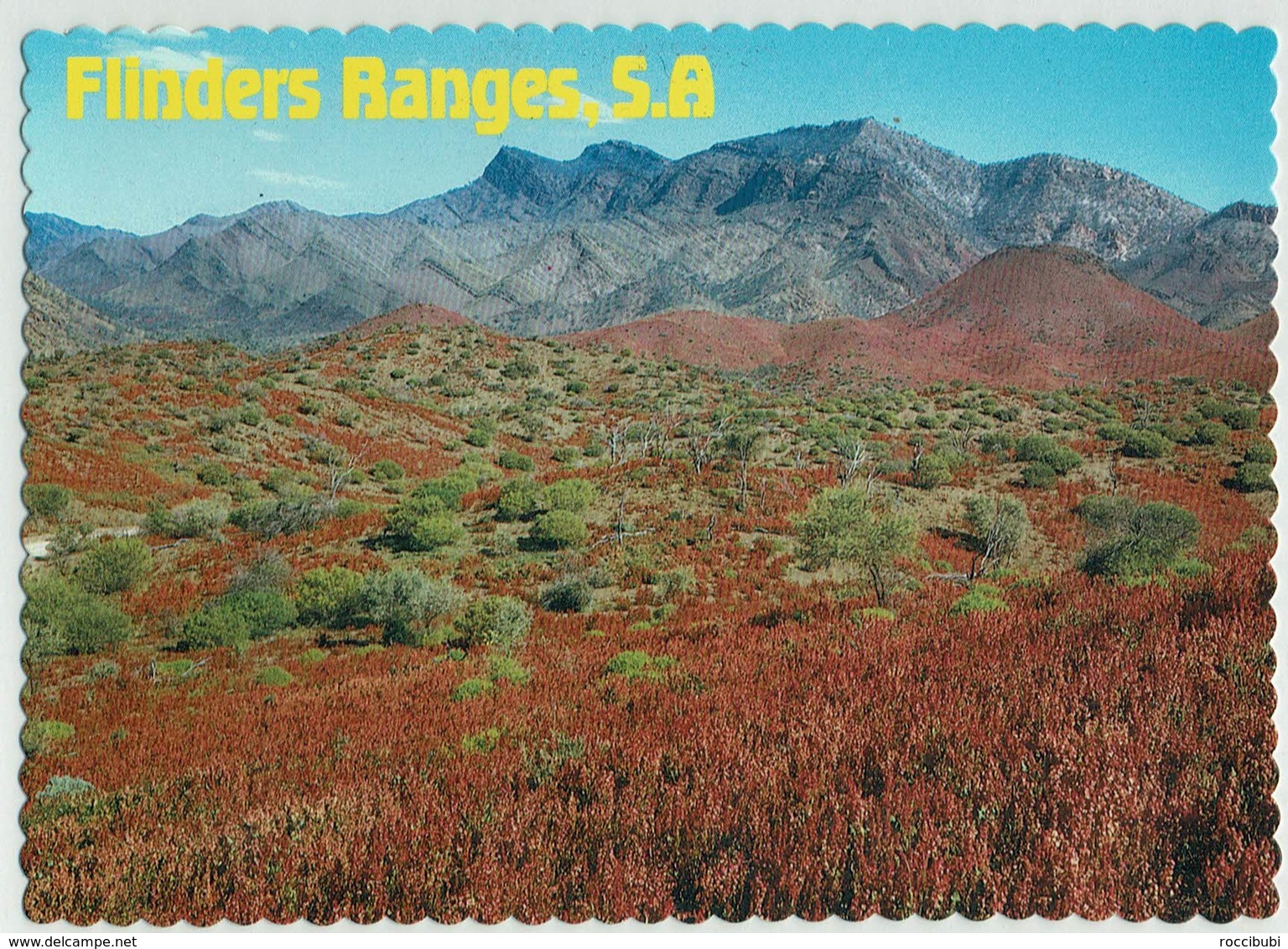 Australien, South Australia, Flinders Ranges - Flinders Ranges