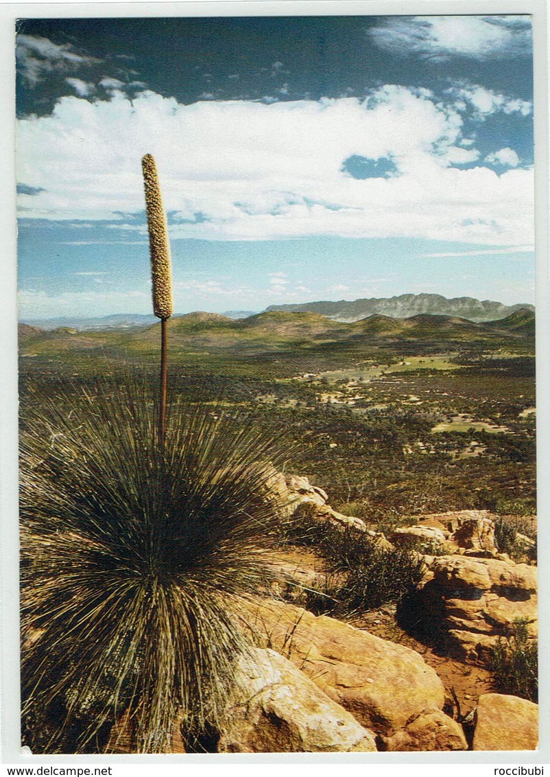 Australien, South Australia, Flinders Ranges - Flinders Ranges