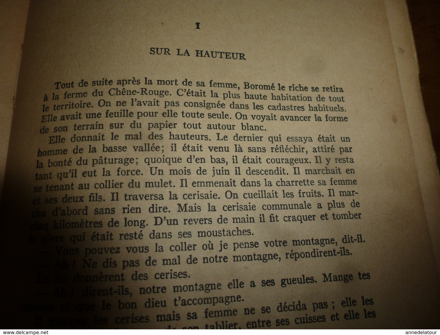 1937 BATAILLES DANS LA MONTAGNE , par Jean Giono