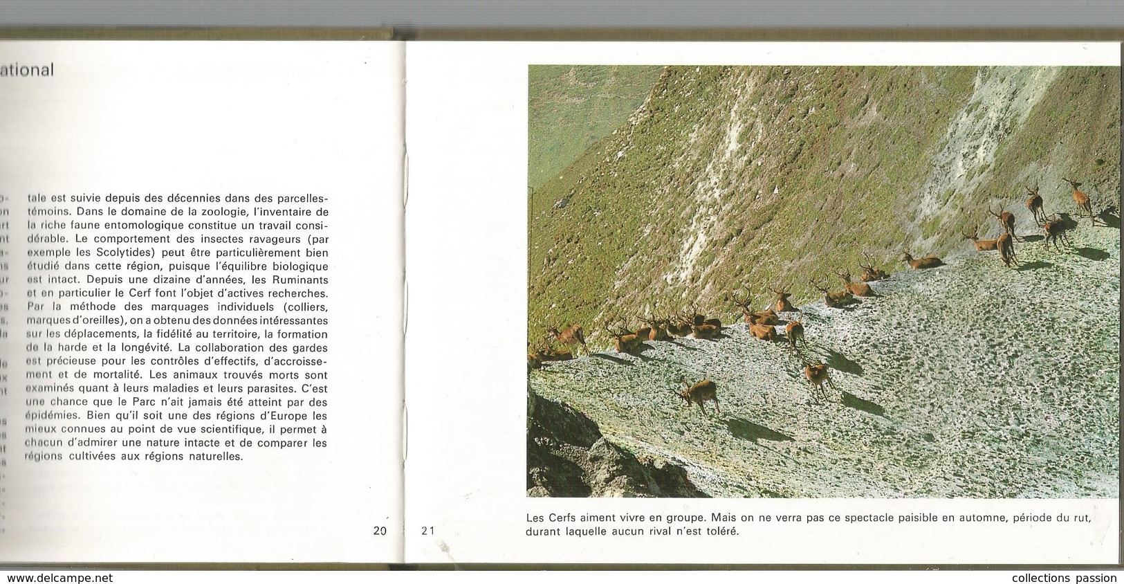 Régionalisme , SUISSE ,guide Officiel , LE PARC NATIONAL SUISSE, 47 Pages , 1974 , Photographies ,frais Fr 2.55 E - Ohne Zuordnung