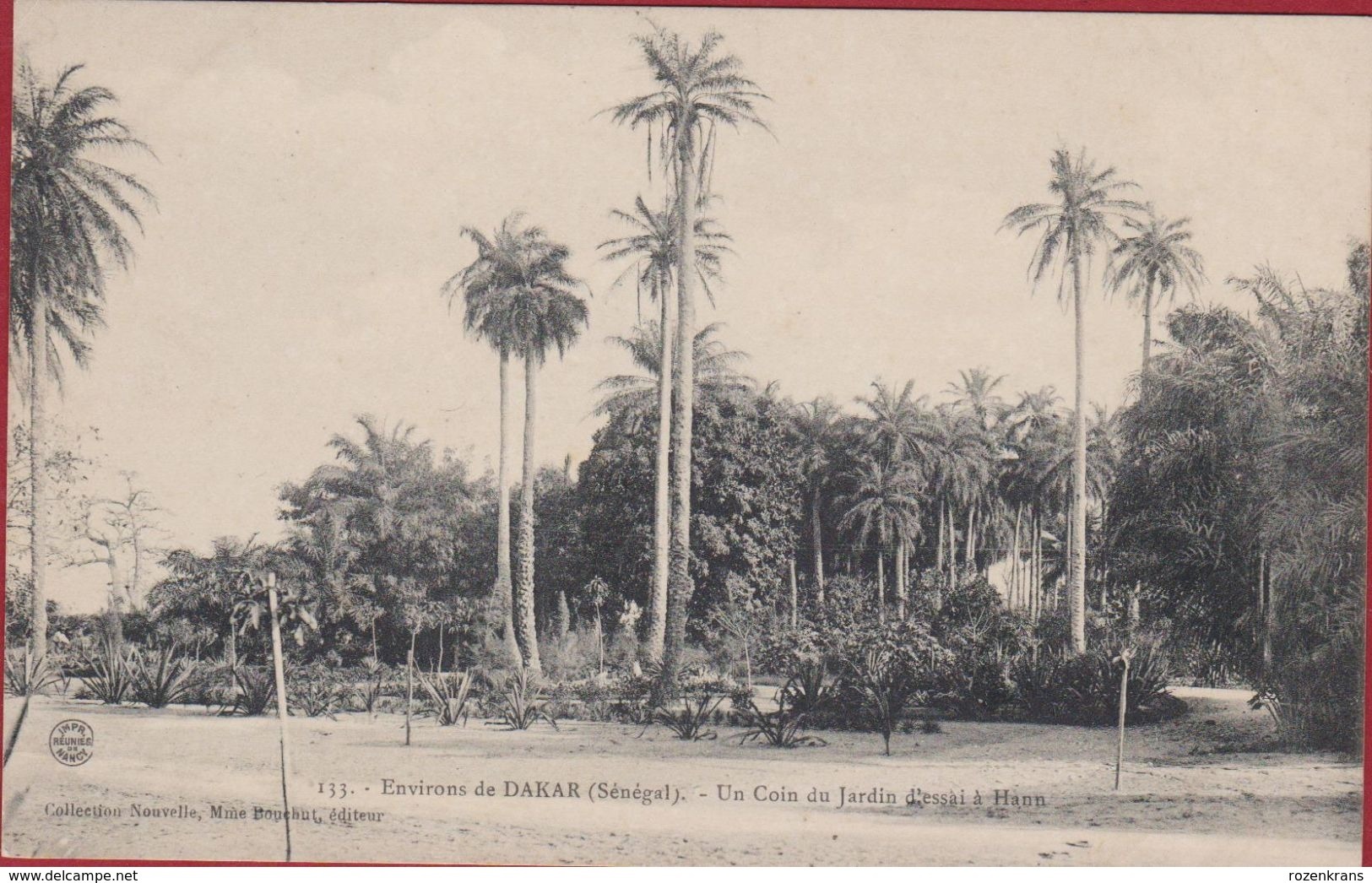 SENEGAL Environs De Dakar Un Coin Du Jardin D' Essai A Hann Edit. MMe Bouchut - Afrika Afrique Africa - Senegal