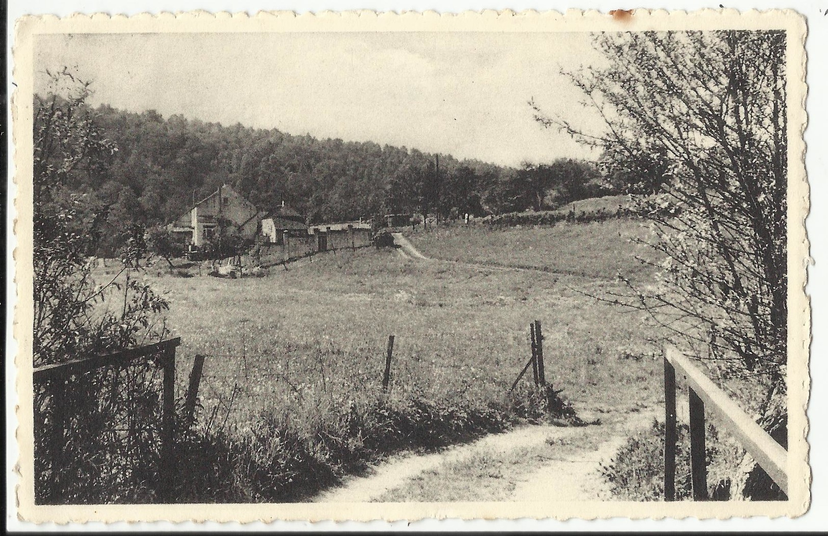 JAMIOULX Paysage - Ham-sur-Heure-Nalinnes