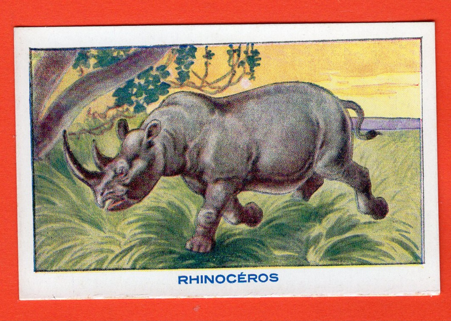 IMAGE SCOLAIRE - BON-POINT -  SIROP DESCHIENS - ANIMAUX - LE RHINOCÉROS - Sonstige & Ohne Zuordnung