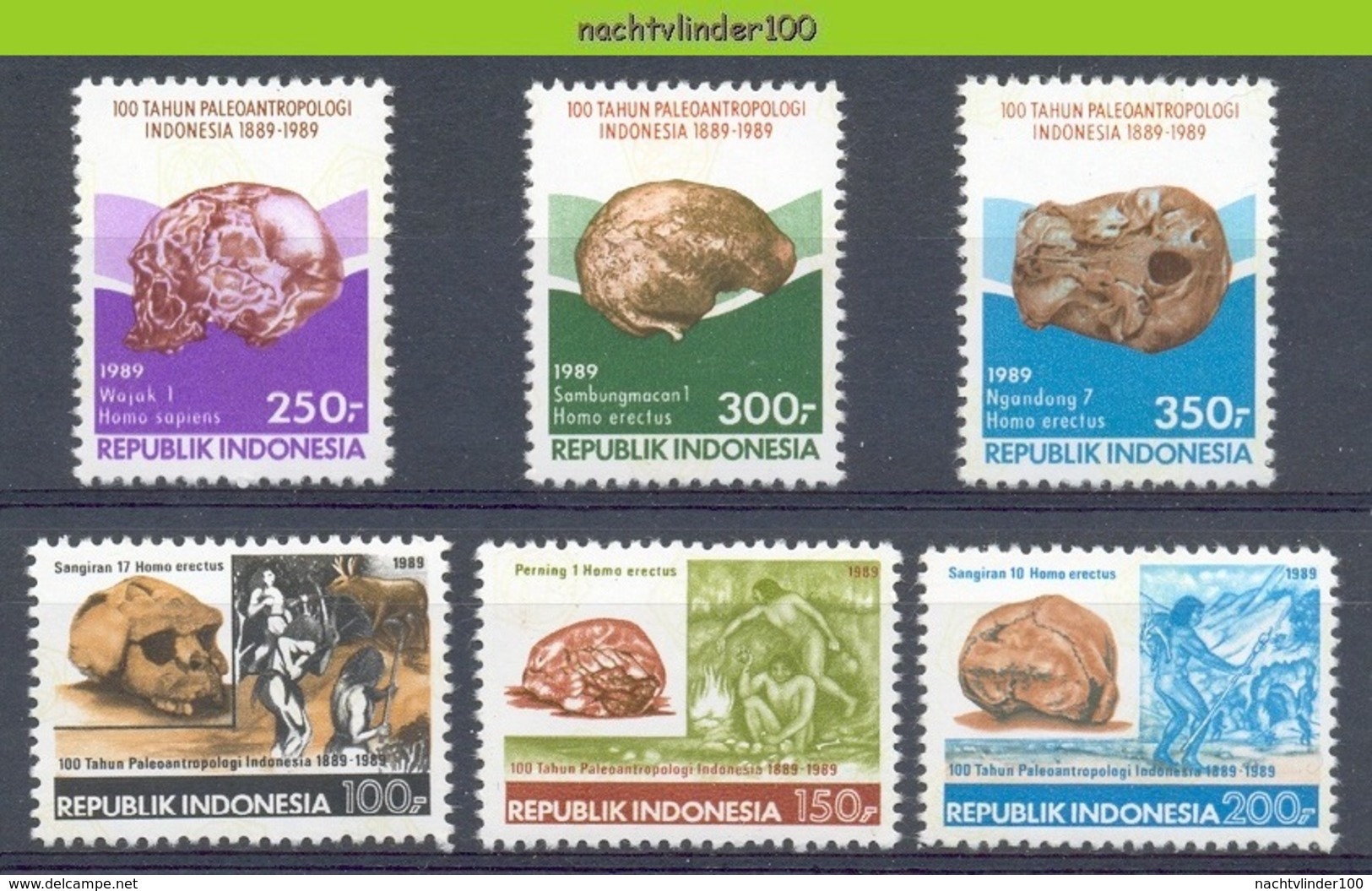 Mgm1383 PALAEOANTROPOLOGIE SCHEDELS SKULLS ANTHROPOLOGY INDONESIA 1989 PF/MNH - Archeologie