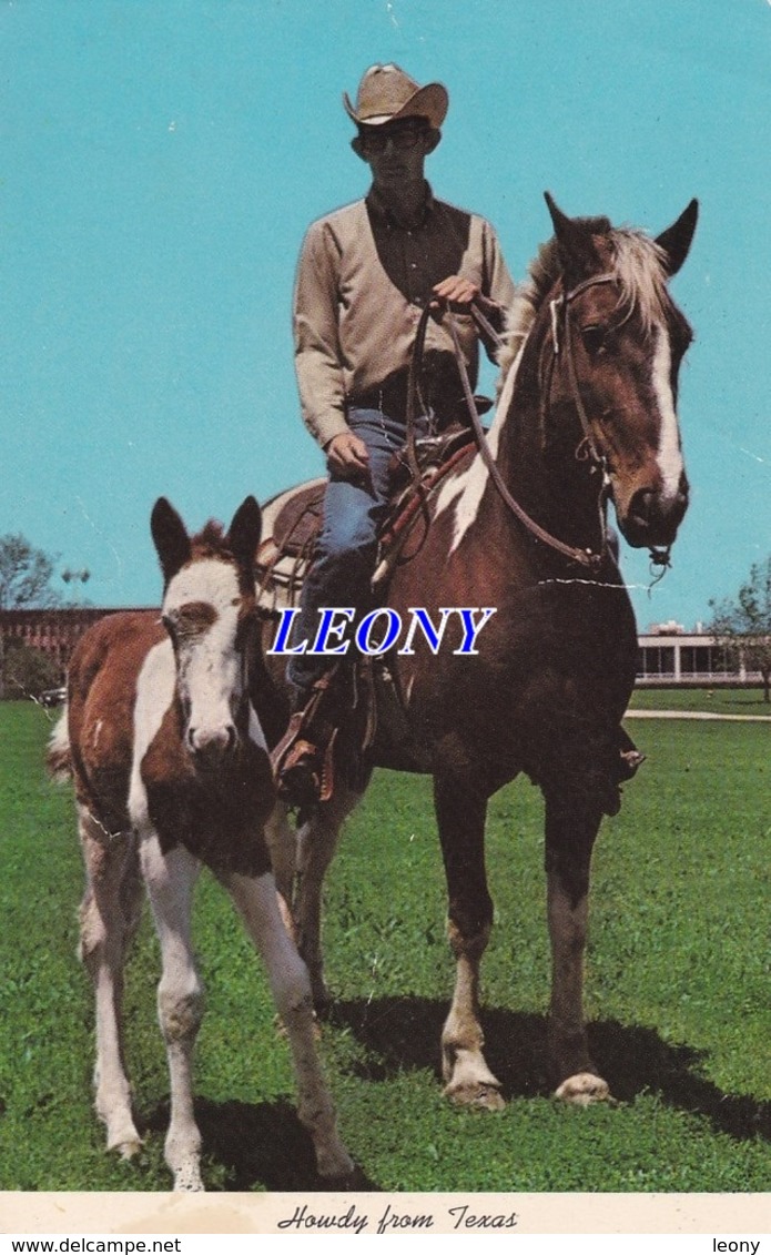 CPSM 9X14   Des ETATS UNIS -  THE UNIVERSITY Of DALLAS OVERLOOKING The BEAUTIFUL DALLAS SKYLINE  - CHEVAUX - Dallas