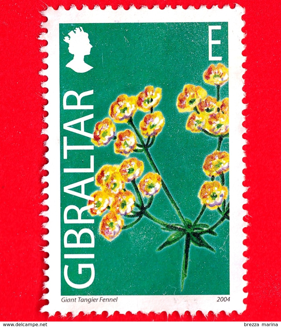 GIBILTERRA - Gibraltar - Usato - Gibilt 2004 - Fiori Selvatici - Finocchio Di Tangeri Gigante - Ferula Tingitana - E - Gibilterra