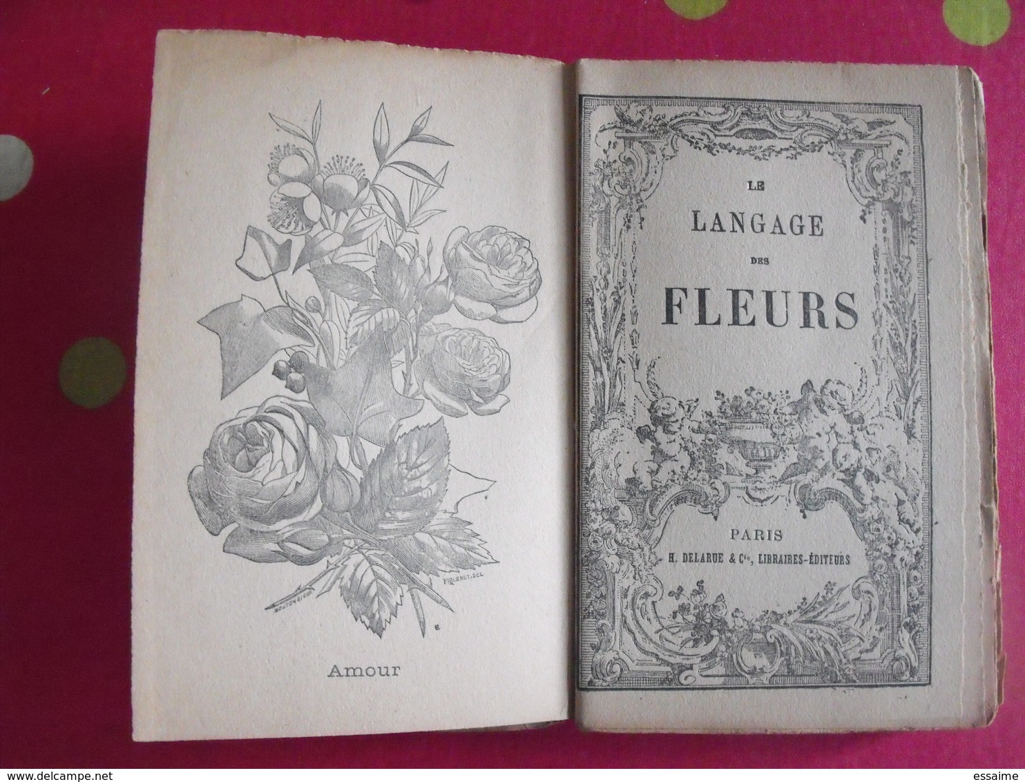 Le Langage Des Fleurs. Delarue, Paris Sd (vers 1870). Illustré - 1801-1900