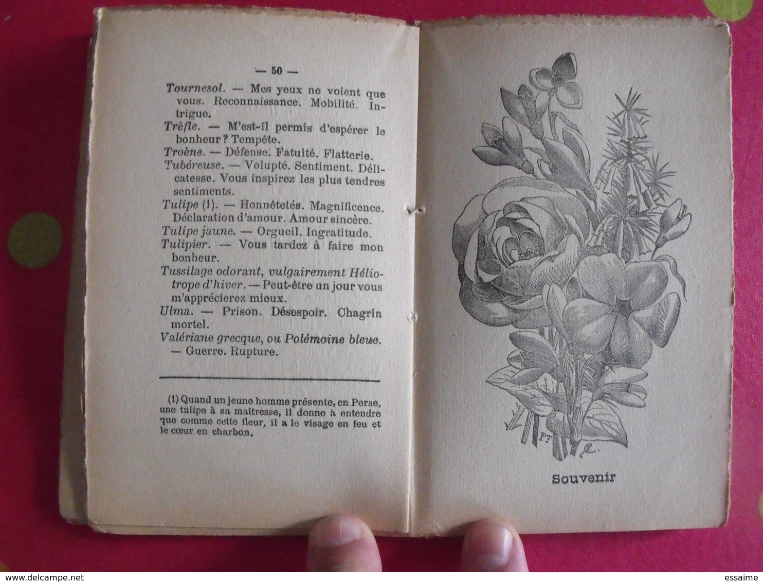 Le Langage Des Fleurs. Delarue, Paris Sd (vers 1870). Illustré - 1801-1900