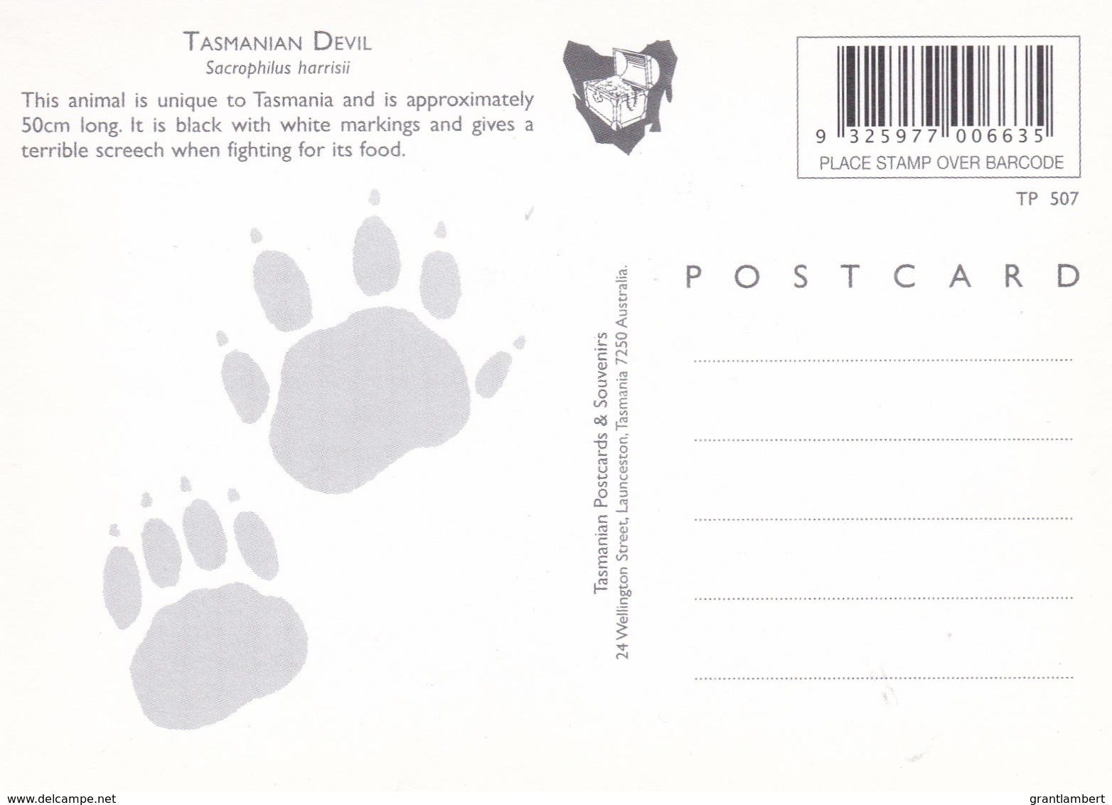 The Tasmanian Devil, Tasmania - Unused - Autres & Non Classés