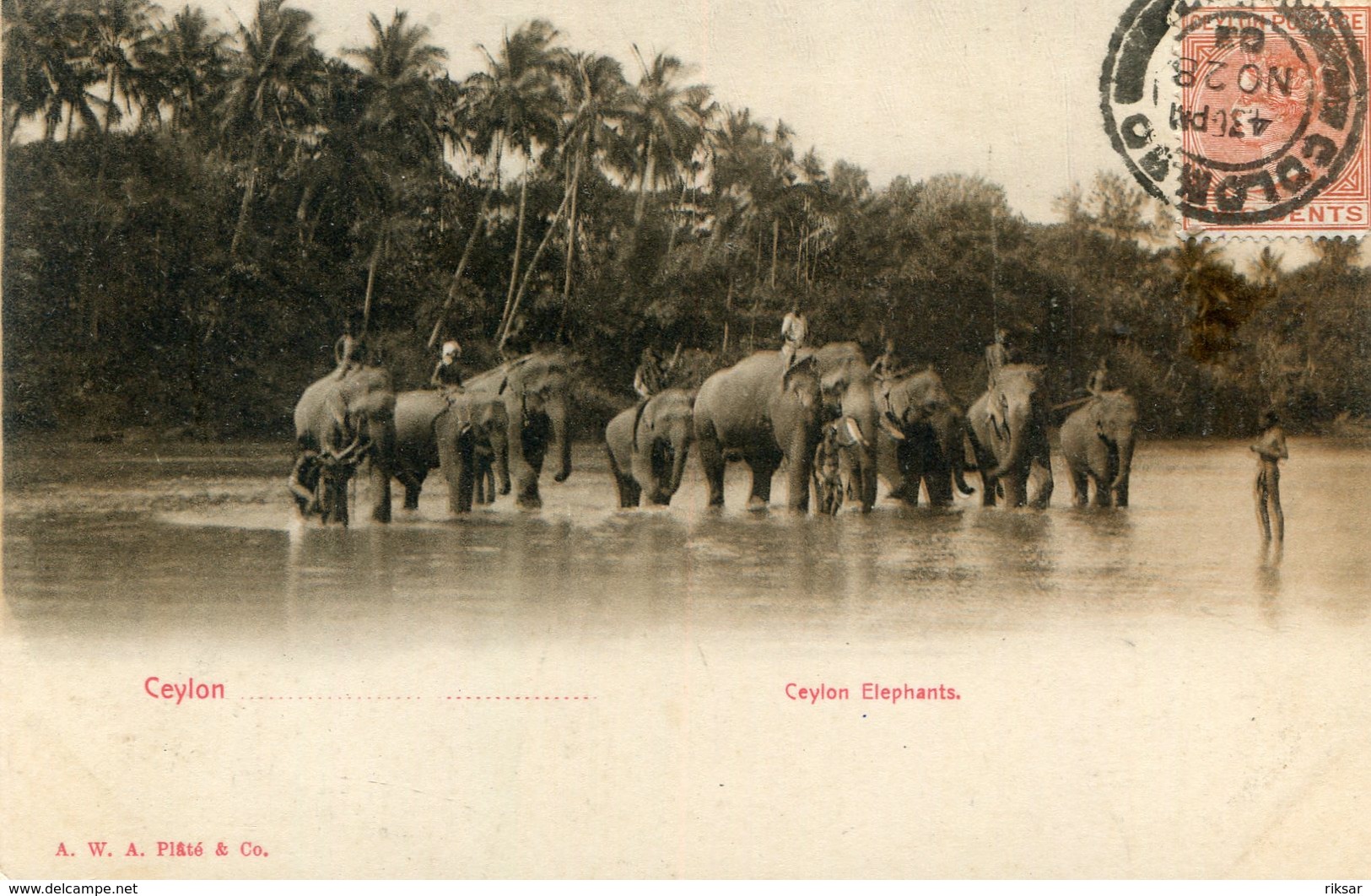 CEYLON(ELEPHANT) - Sri Lanka (Ceylon)