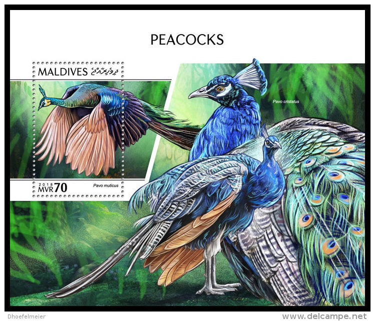 MALDIVES 2018 MNH** Peacock Pfauen Paons S/S - OFFICIAL ISSUE - DH1841 - Paons