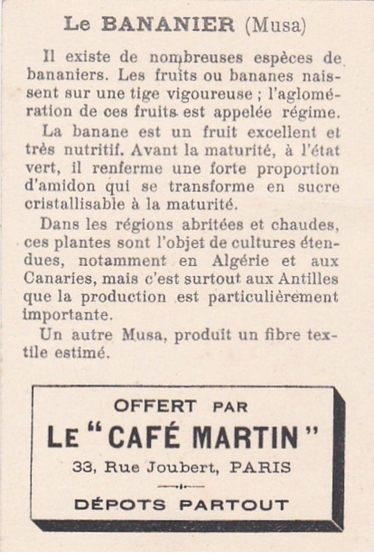 GUADELOUPE CHROMO PUB CAFE MARTIN  Les Grandes CULTURES Travaux Des CHAMPS Récolte Des BANANES  SCAN DOS - Autres & Non Classés