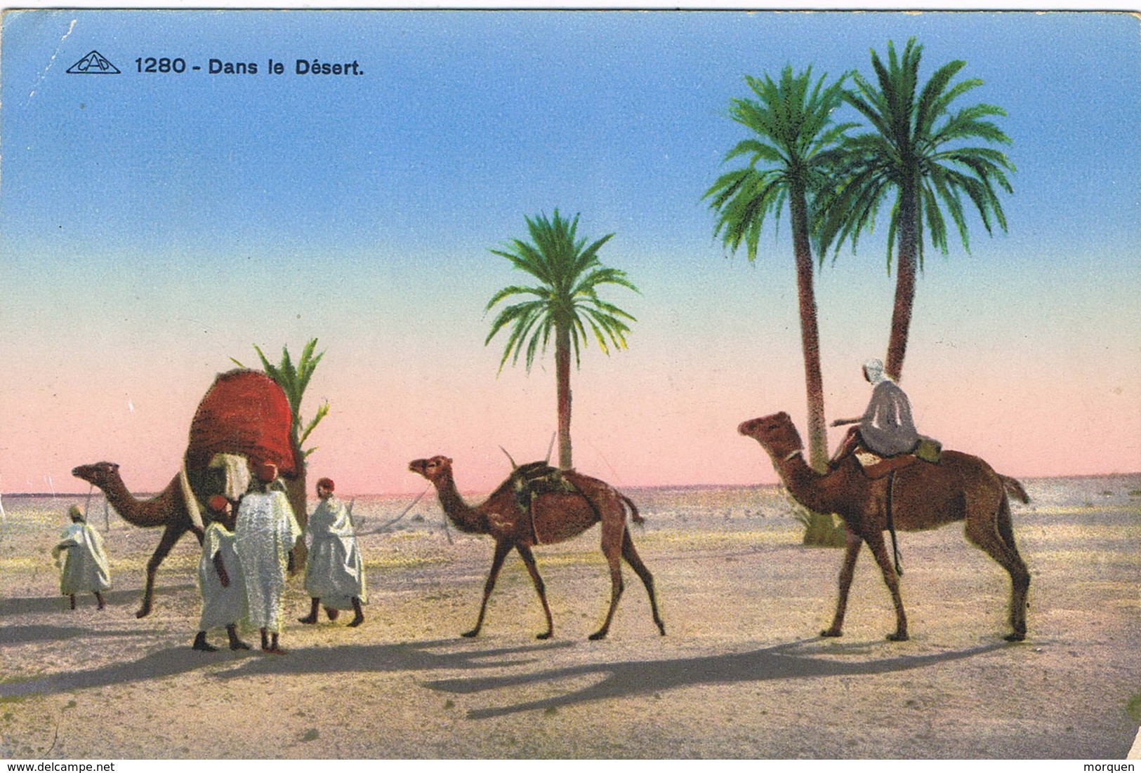 30240. Postal EGYPT, Dromedarios En Desierto - Otros & Sin Clasificación