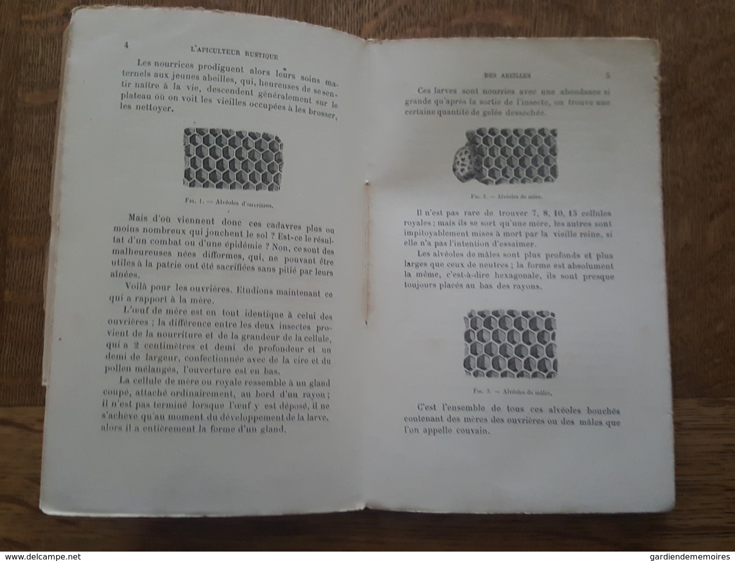 1893 Apiculture - L'Apiculteur Rustique - La Conduite Des Ruches A Cadres Mobiles, Traité Théorique Et Pratique, Denizet - Nature