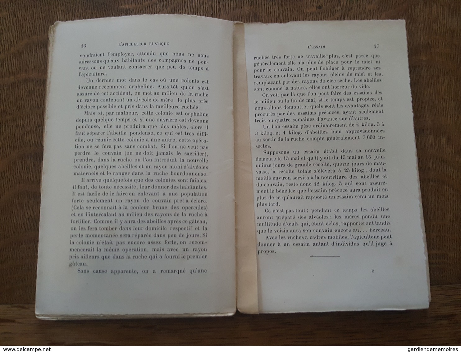 1893 Apiculture - L'Apiculteur Rustique - La Conduite des Ruches a Cadres Mobiles, Traité Théorique et Pratique, Denizet