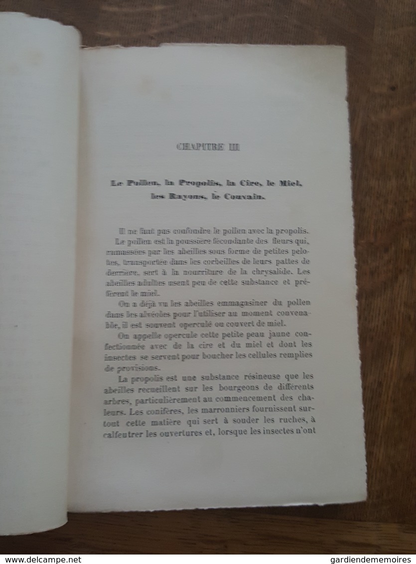 1893 Apiculture - L'Apiculteur Rustique - La Conduite des Ruches a Cadres Mobiles, Traité Théorique et Pratique, Denizet