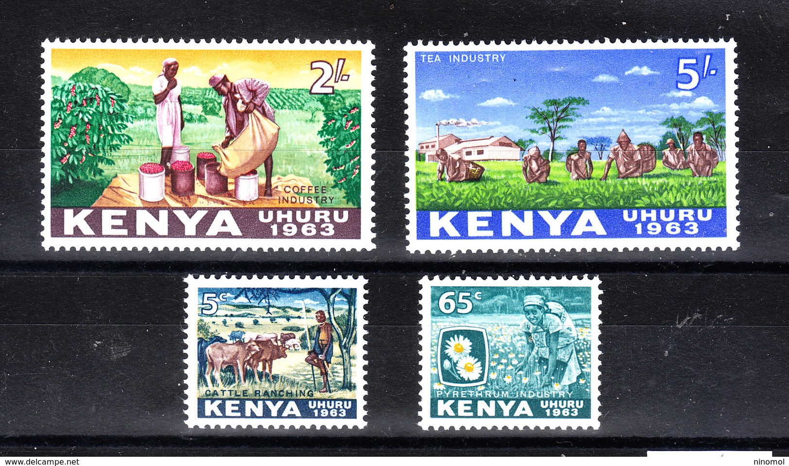 Kenya  -  1963. Allevamento Bovini, Raccolta Caffè,the,camomilla.  Cattle, Harvesting Coffee, Tea, Chamomile.MNH - Agricoltura