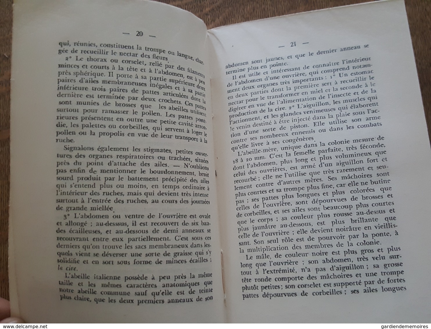 Apiculture - Les Abeilles Et La Ruche Mixte Par R. Leroy (Sompuis) - Ancien Apiculteur Professionnel - Livre Non Coupé - Natur