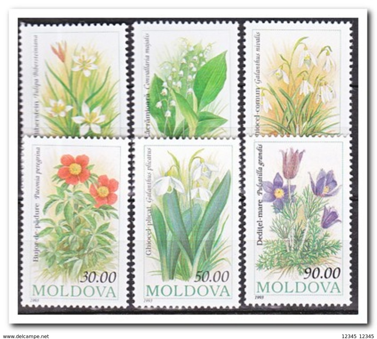 Moldavië 1993, Postfris MNH, Flowers - Moldavië