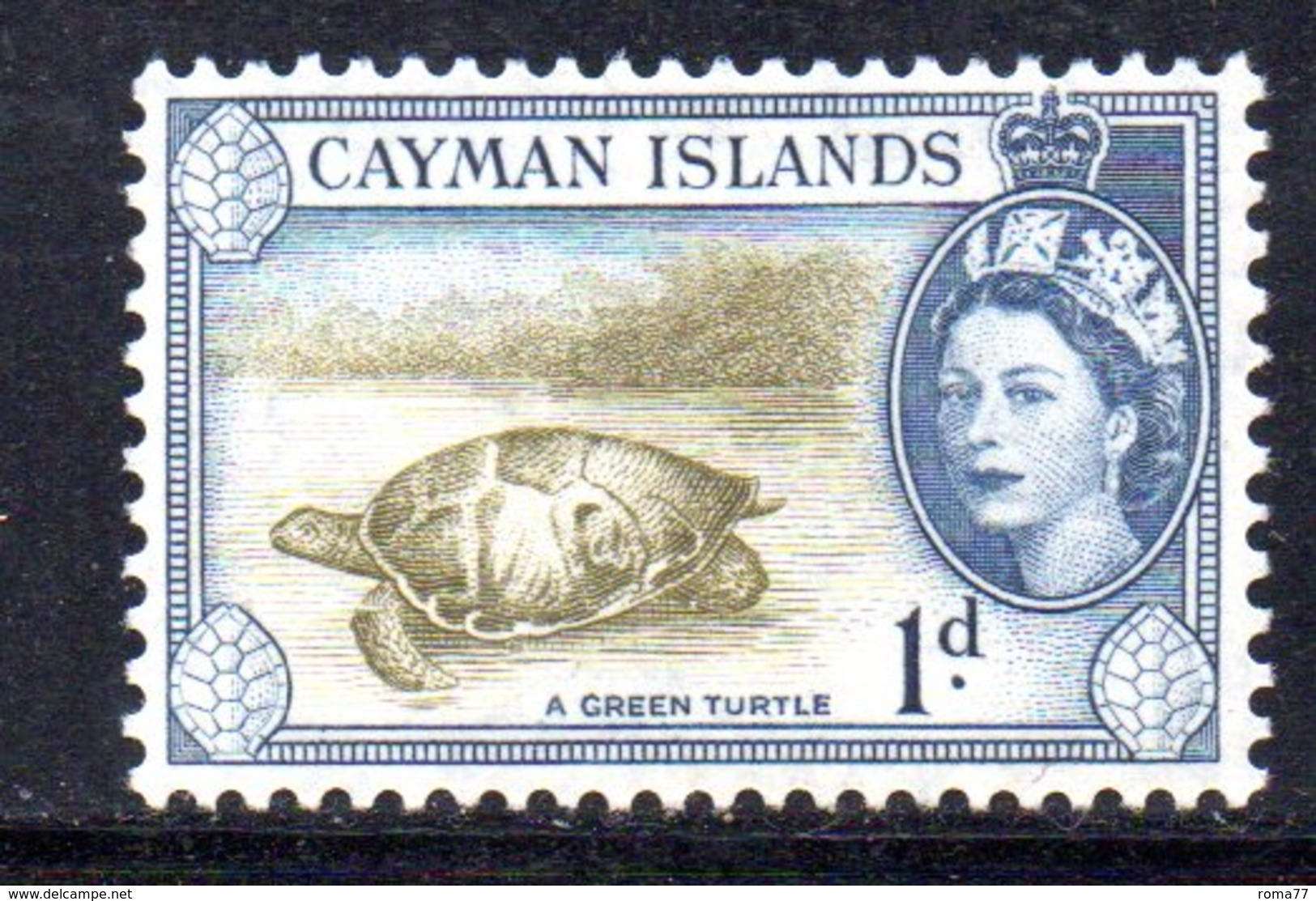 T1054 - CAYMAN 1953, Un Valore Integro Yvert 142  ***  Tartaruga - Cayman (Isole)